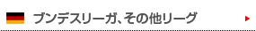 ブンデスリーガ、その他リーグ