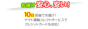 お届け安心、安い!